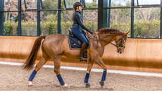 Ridesum&rsquo;s AI Horse Analytics acts as a &lsquo;high-tech mirror&rsquo; to help riders better understand horses&rsquo; head and neck positions during training.