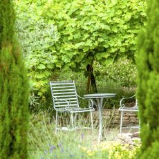 Wrought iron, garden table and chairs in a garden hideaway with tall evergreen trees