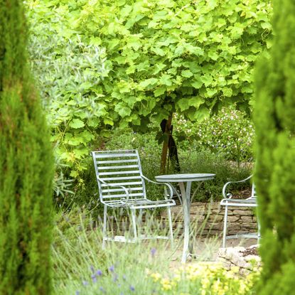 Wrought iron, garden table and chairs in a garden hideaway with tall evergreen trees