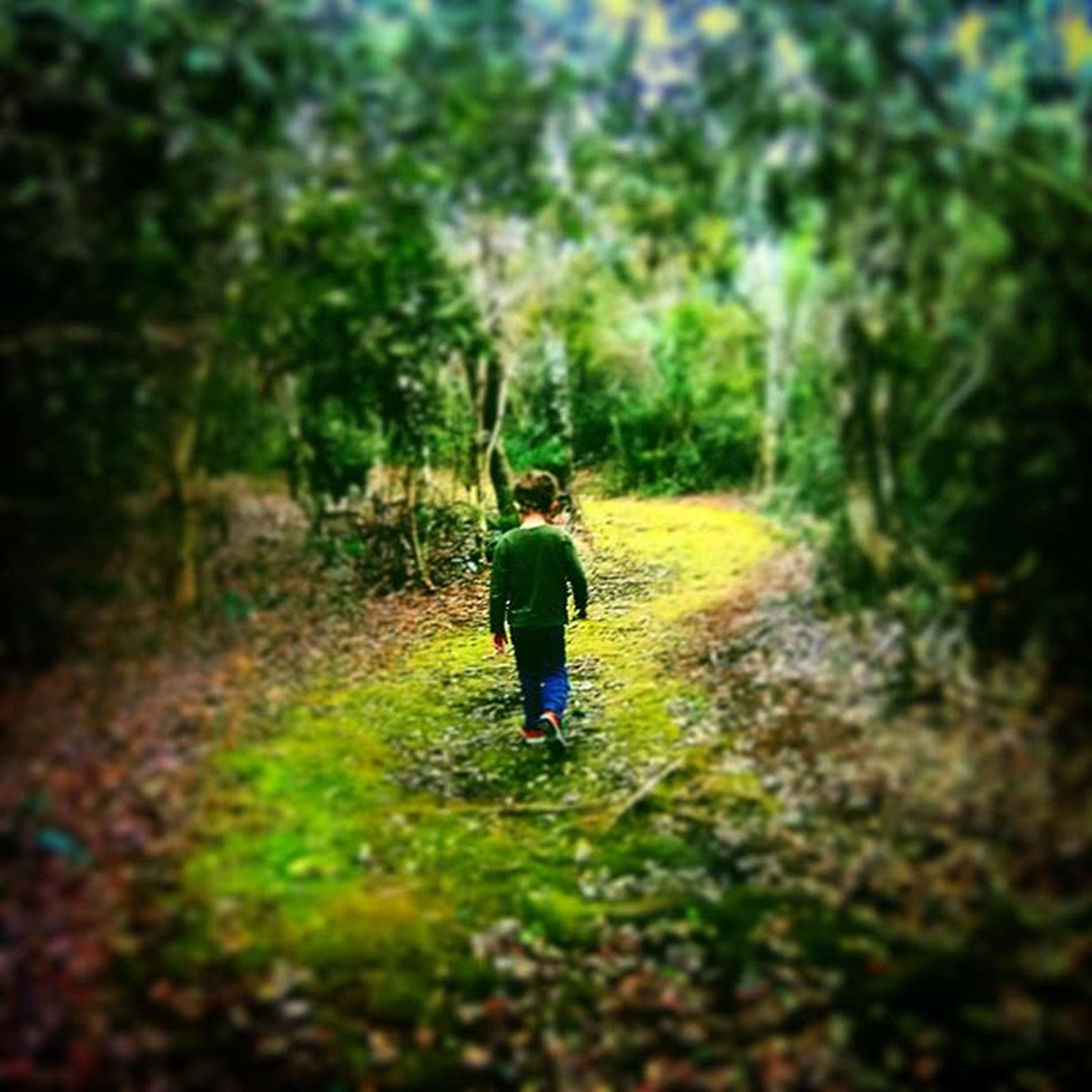 GuruShots - Vivid Landscapes March 2026