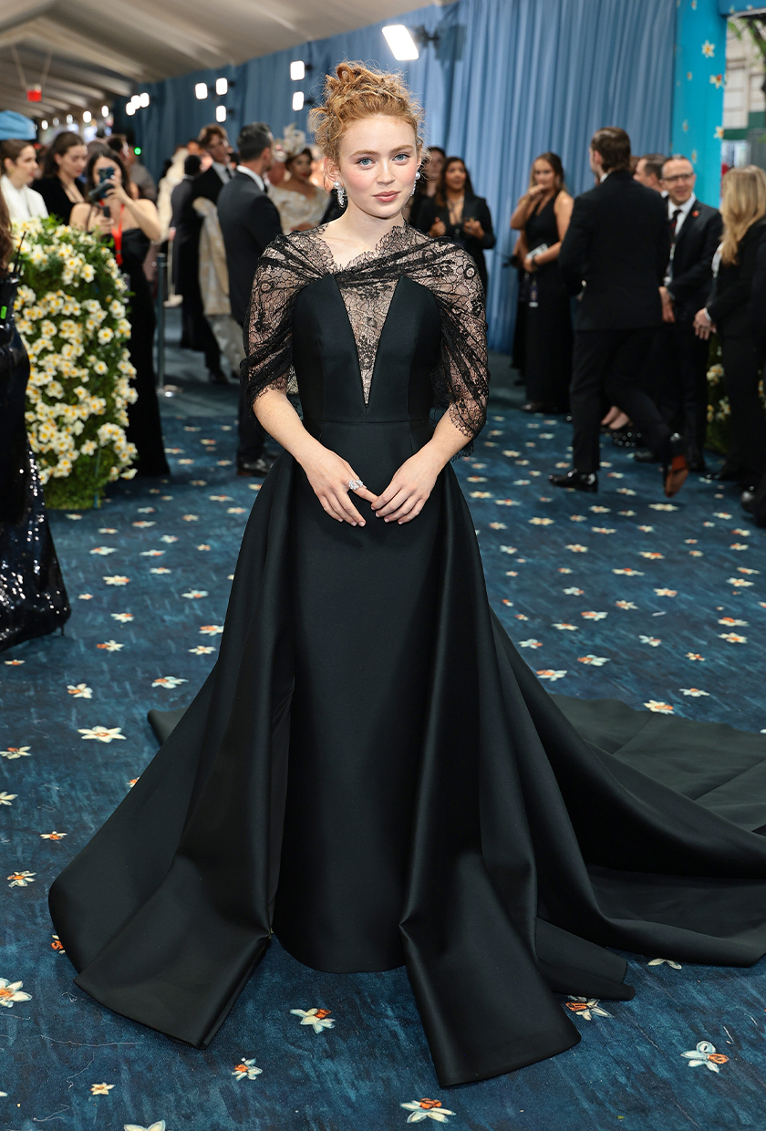 Met Gala red carpet 2025