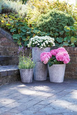 container gardening mistakes: trio of pots on patio