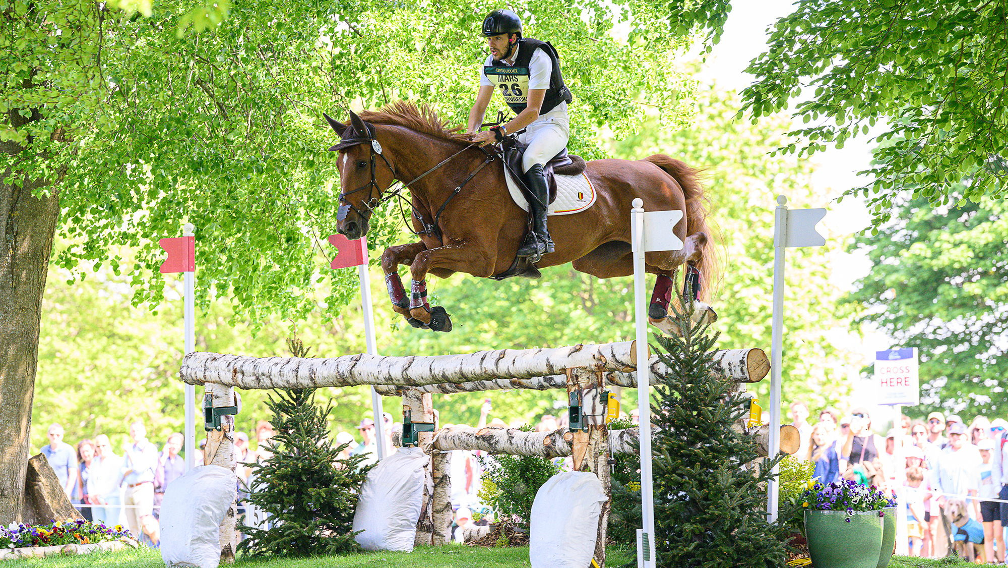 Blenheim European Championships withdrawal: Senne Vervaecke and Google Van Alsingen will not run across country