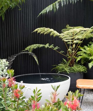 water bowl and fountain with ferns and black fence
