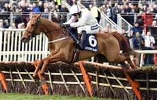 Annie-Power-3-7-4-16.jpg
