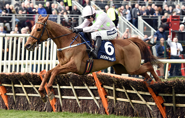 Annie-Power-3-7-4-16.jpg