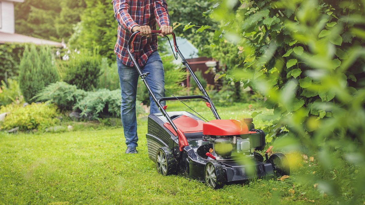 Mower for best sale small yard