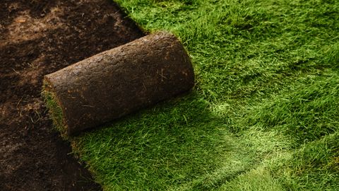 How to lay sod and upgrade your yard | Tom's Guide