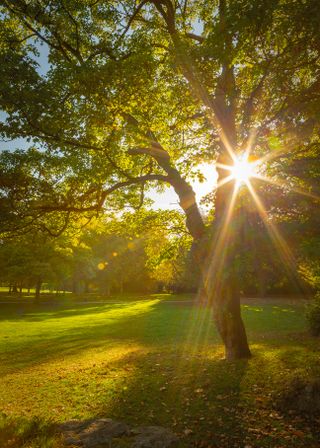 Shoot your best summer landscapes