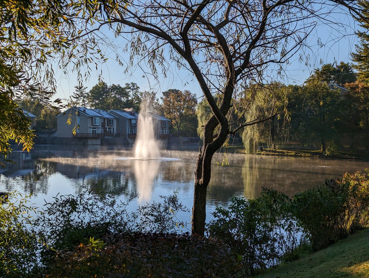 Google Pixel 7 Pro camera samples