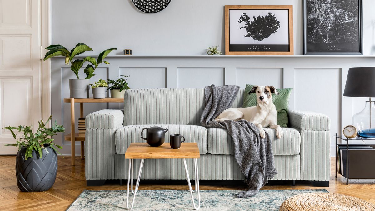 Give Your Sofa A Good Cleanse At Home