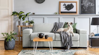 Mint foundation and mint ribbed storage sofa with fresh houseplants, mono wall art, hall wall paneling, and small coffee table on hairpin legs.