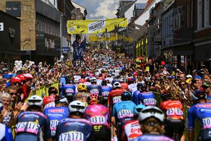 The peloton at the Tour de France