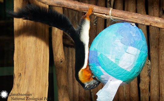 easter at the zoo