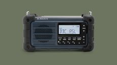 Roberts Radio SolarDAB 99 