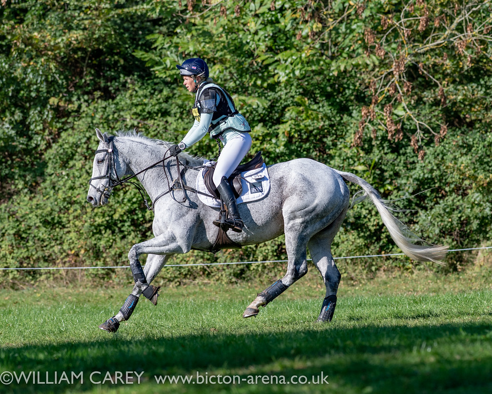 Barrison-at-Bicton.jpg