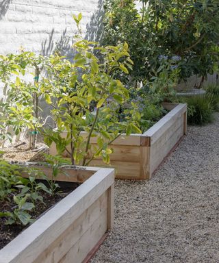 raised garden beds in Quiet Cove project by Garden Studio Design