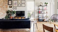 A modern apartment with velvet couch and bookshelf