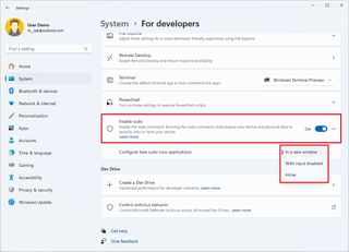 Windows 11 Sudo command settings