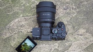 Sony A7 IV review