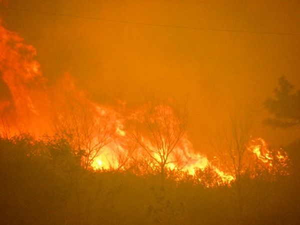 The High Park Fire blazing near Fort Collins, Colo., June 10. 