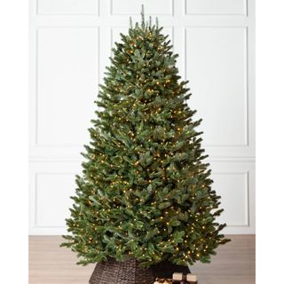 Balsam Hill Fraser Fir