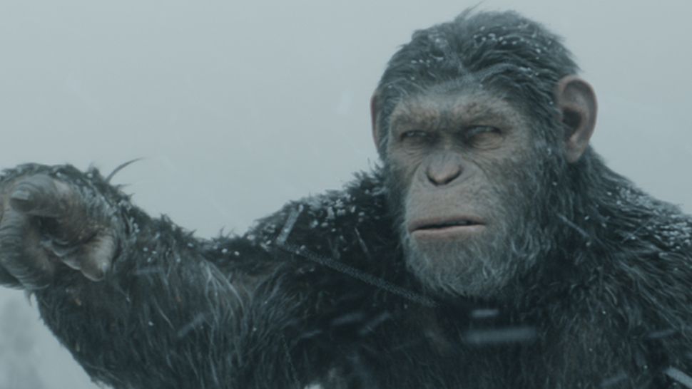 New of the Apes movie director teases trilogy followup “We