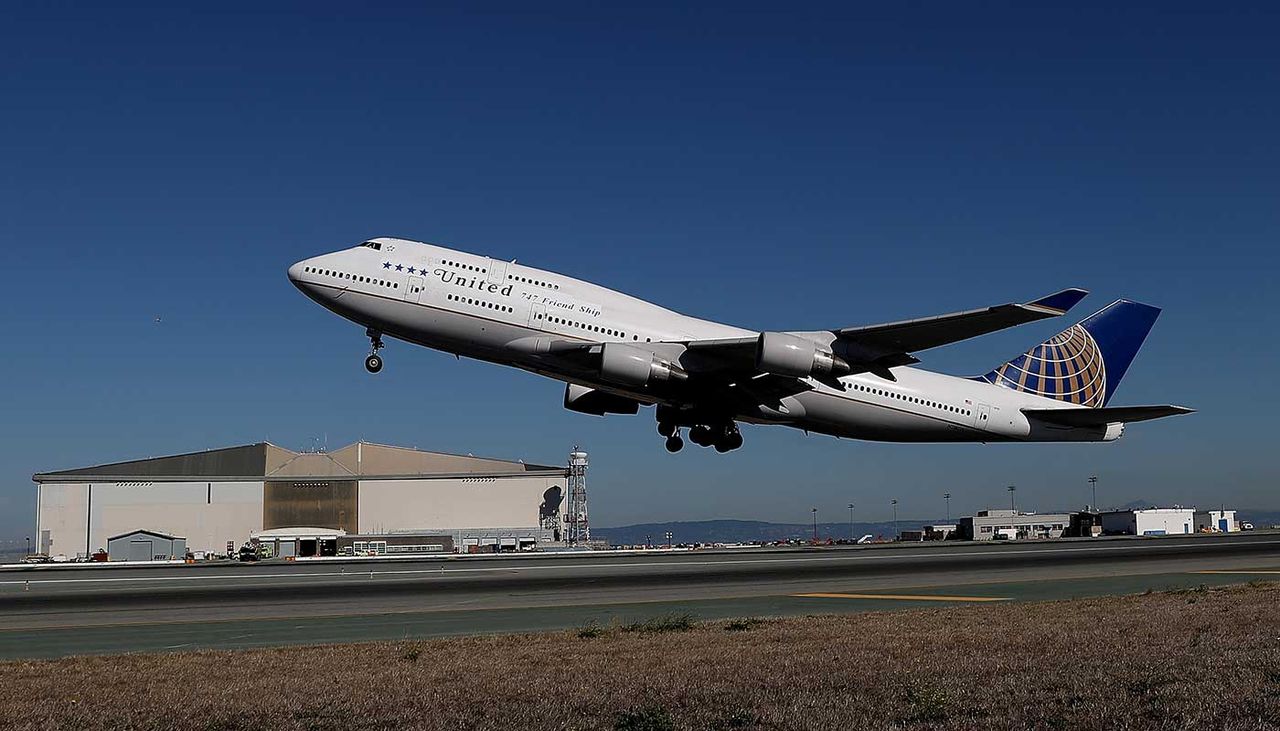 United Airlines is under fire after dog dies in an overhead locker