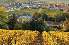 Clos du Mesnil vineyard in Champagne