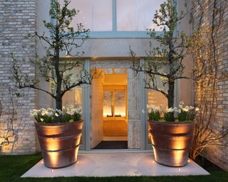 A front porch with large plant pots containing small trees with uplights