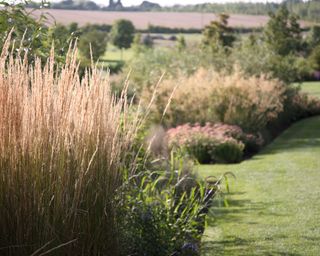 Rock garden ideas with ornamental grasses beside a lawn with rolling fields in the background.