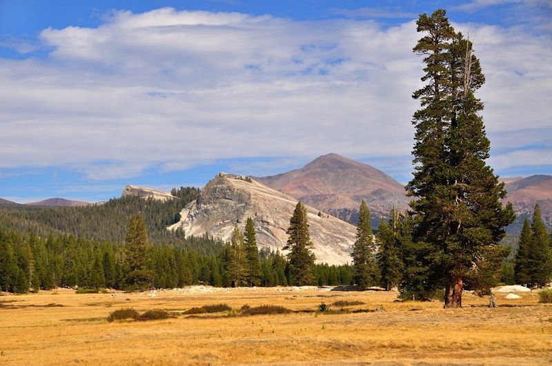 Tuolumne Meadows