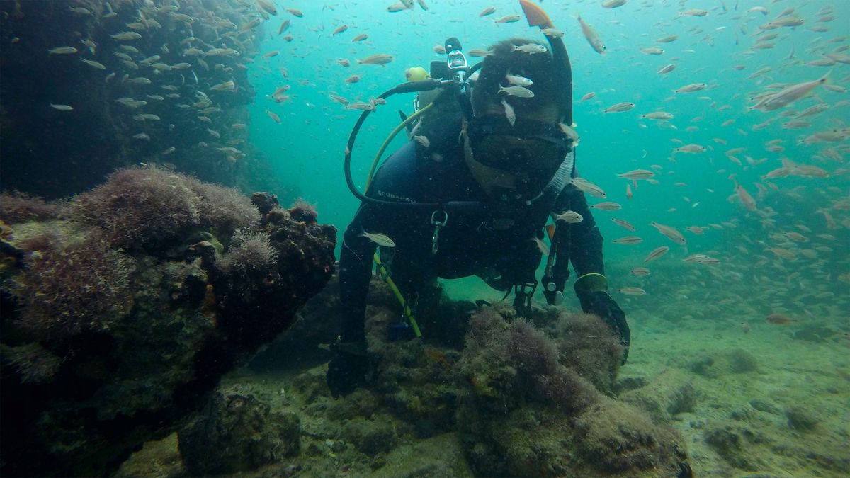 Scientists in Mexico have identified the wreck of La Union, a Mayan slave ship.