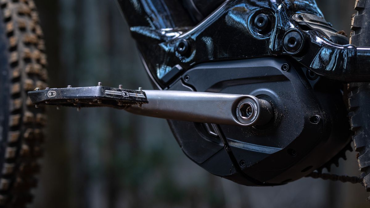 Cane Creek Electric Wings titanium cranks on an e-MTB