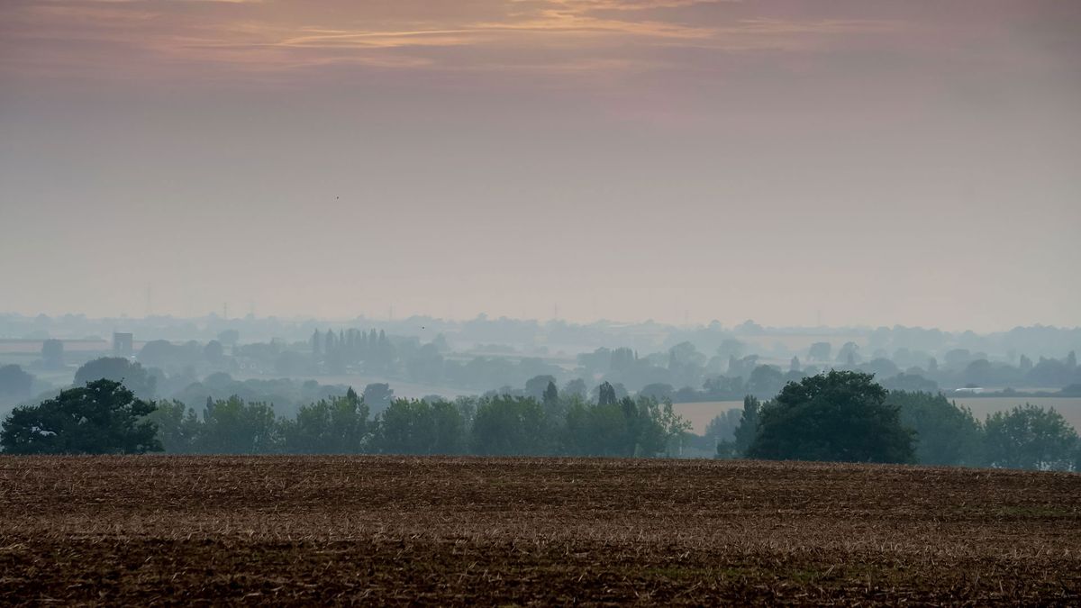 Sony A7S III: ISO 500