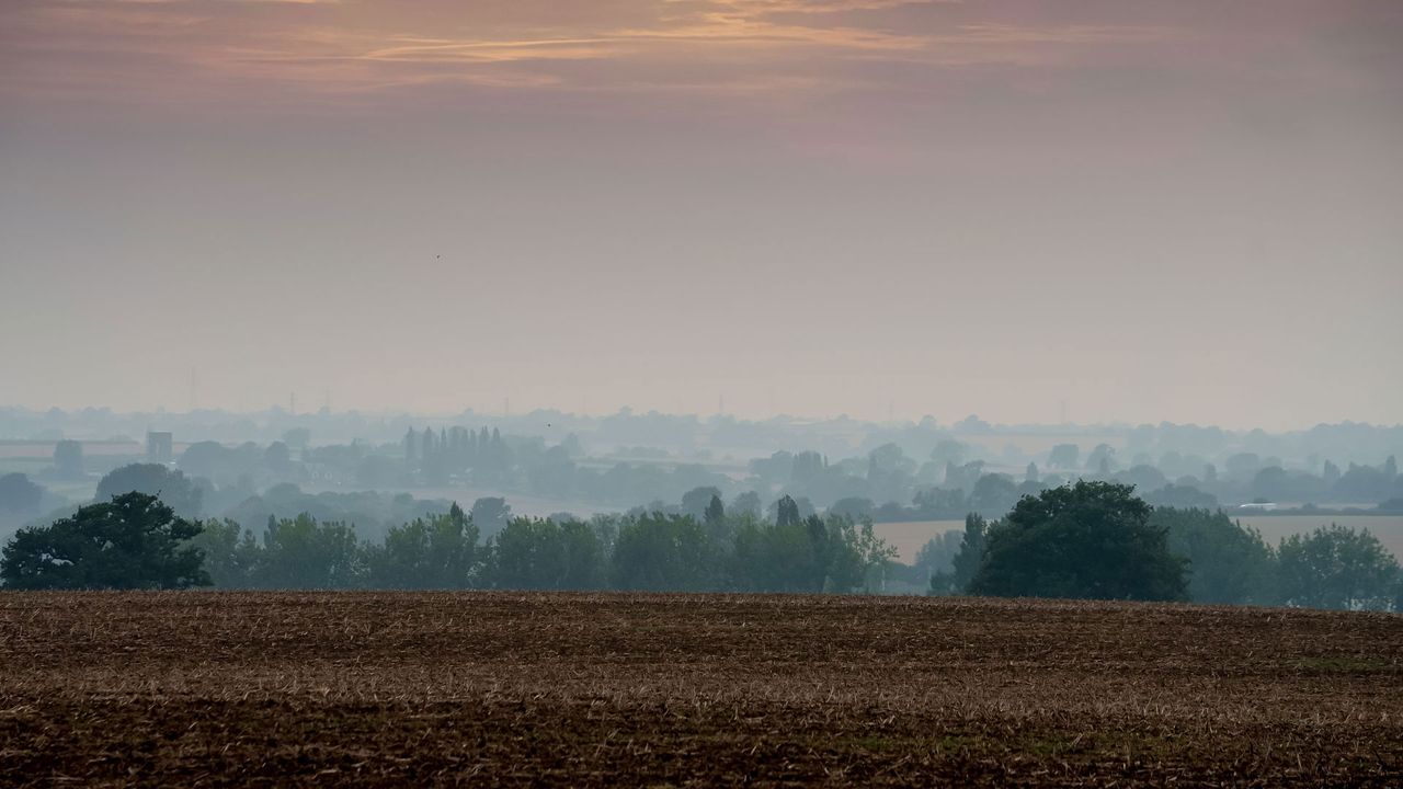 Sony A7S III: ISO 500