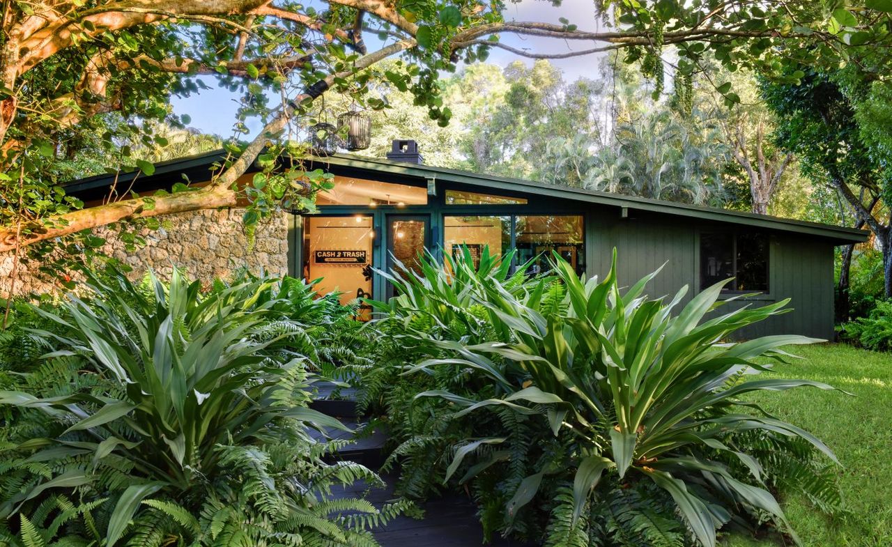 Garden area with tree and shrubs