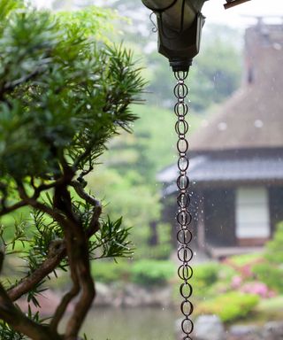 A Japanese rain chain or kusari-doi which is a traditional rain drainage system hanging outside a house