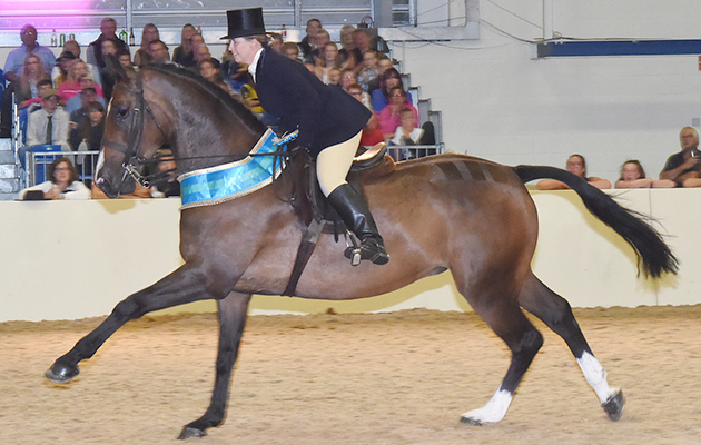 Equifest 2018