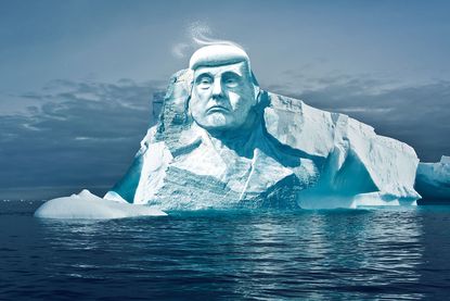Trump's face carved into a glacier. 