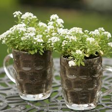 dimple print pint glasses with white flowers