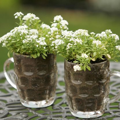 dimple print pint glasses with white flowers