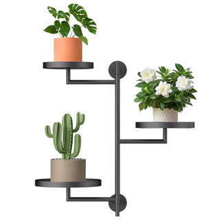 Rotating Window Plant Shelves from Amazon