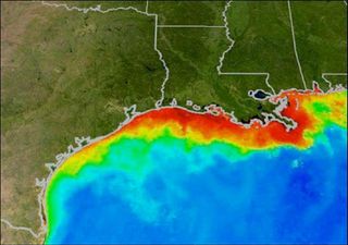 Low levels of oxygen dissolved in the water is often referred to as a “dead zone” (in red above) because most marine life either dies or leaves. Habitats that would normally be teeming with life become, essentially, biological deserts.