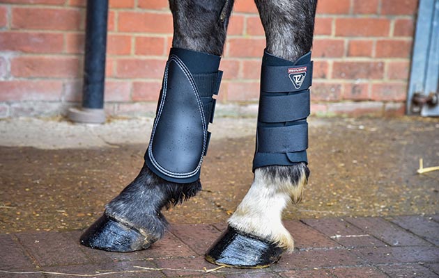 Tri-Zone Horse Brushing Boots review