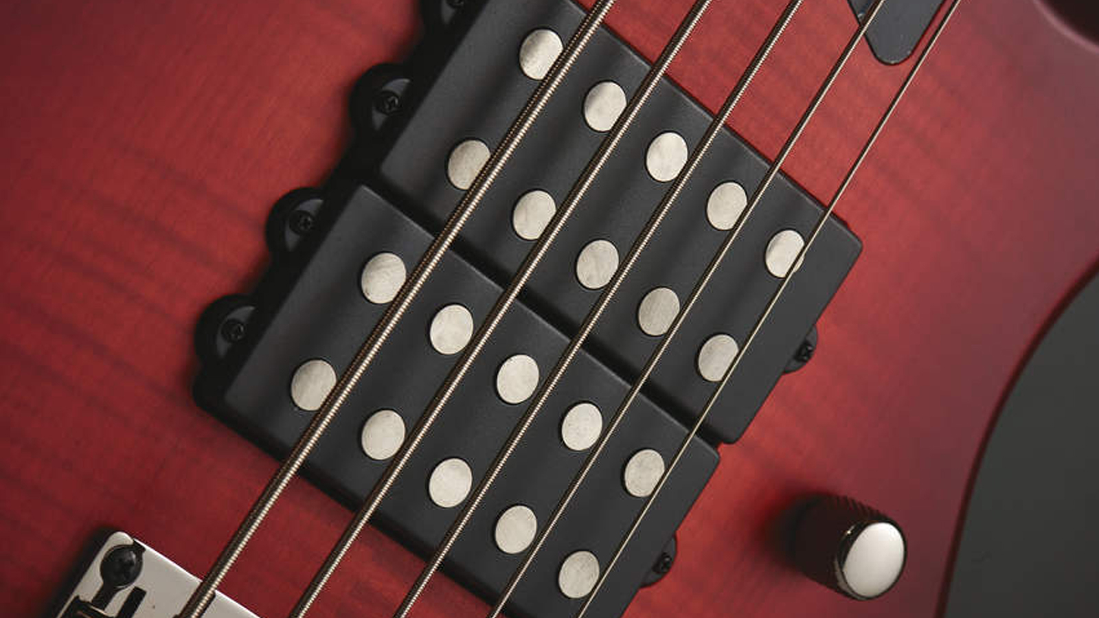Close up of 5-string bass strings and pickups