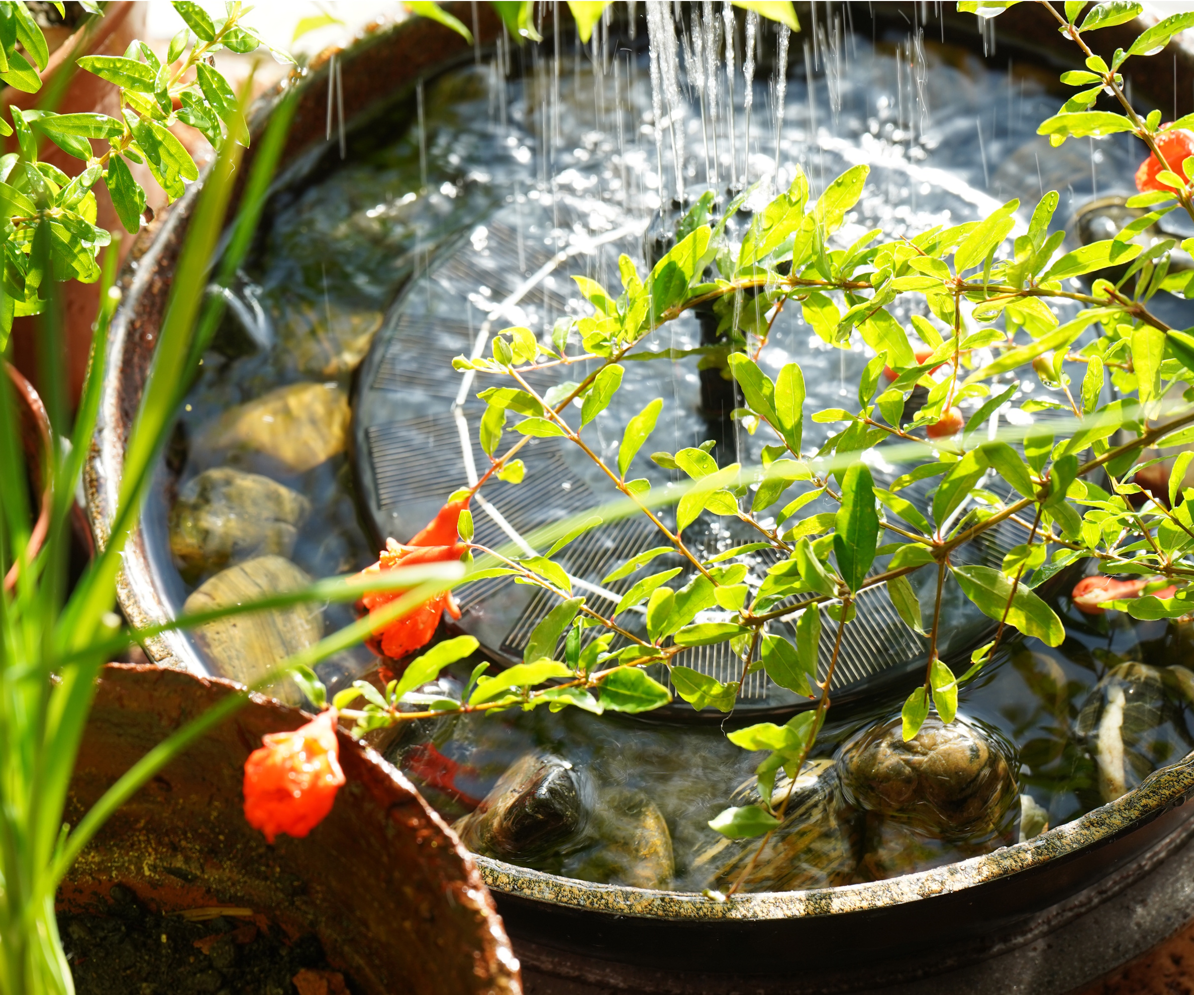 Solar fountain planter