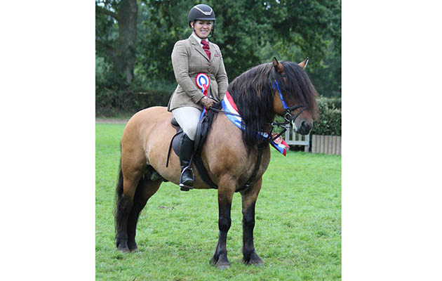 NPS NAF M&amp;amp;M working hunter pony champions Amy Smith &amp;amp; Aigas Of Achnacarry IMG_2277