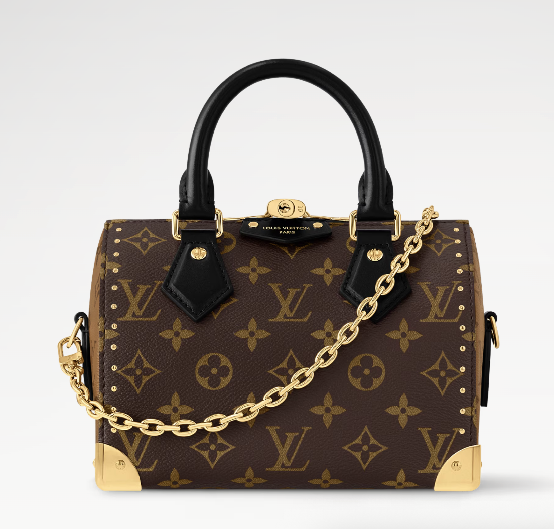 Louis Vuitton, Speedy Trunk 20