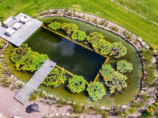 aerial view of natural swimming pool by Poolscape